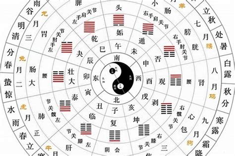 天干 地支 五行|天支地支 十二时辰对照表